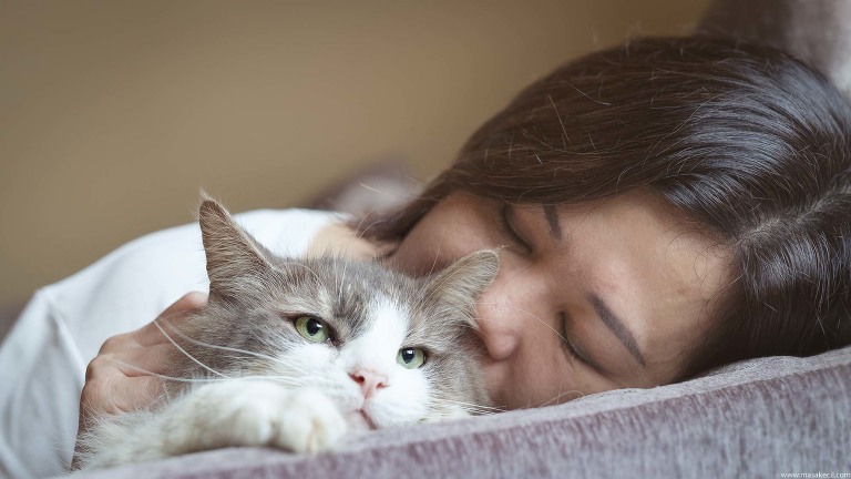 A cat and her loving owner.