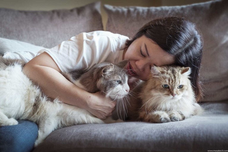 Two cats and her loving owner at home.